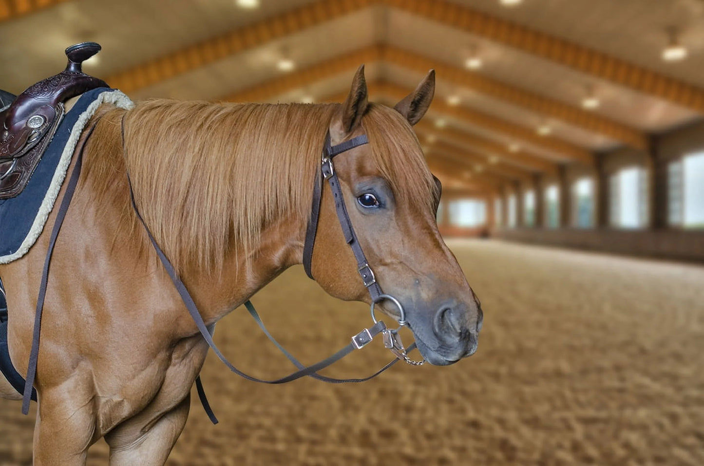 Double Layered Nylon Western Headstall with Matching Split Reins